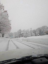 新潟旅行に大晦日から行ってまいりました。